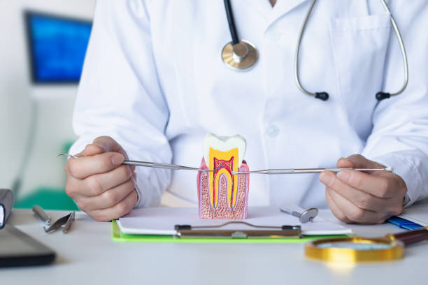 Best Emergency Tooth Extraction in Monroe, MI